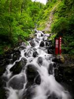 我叫MT4